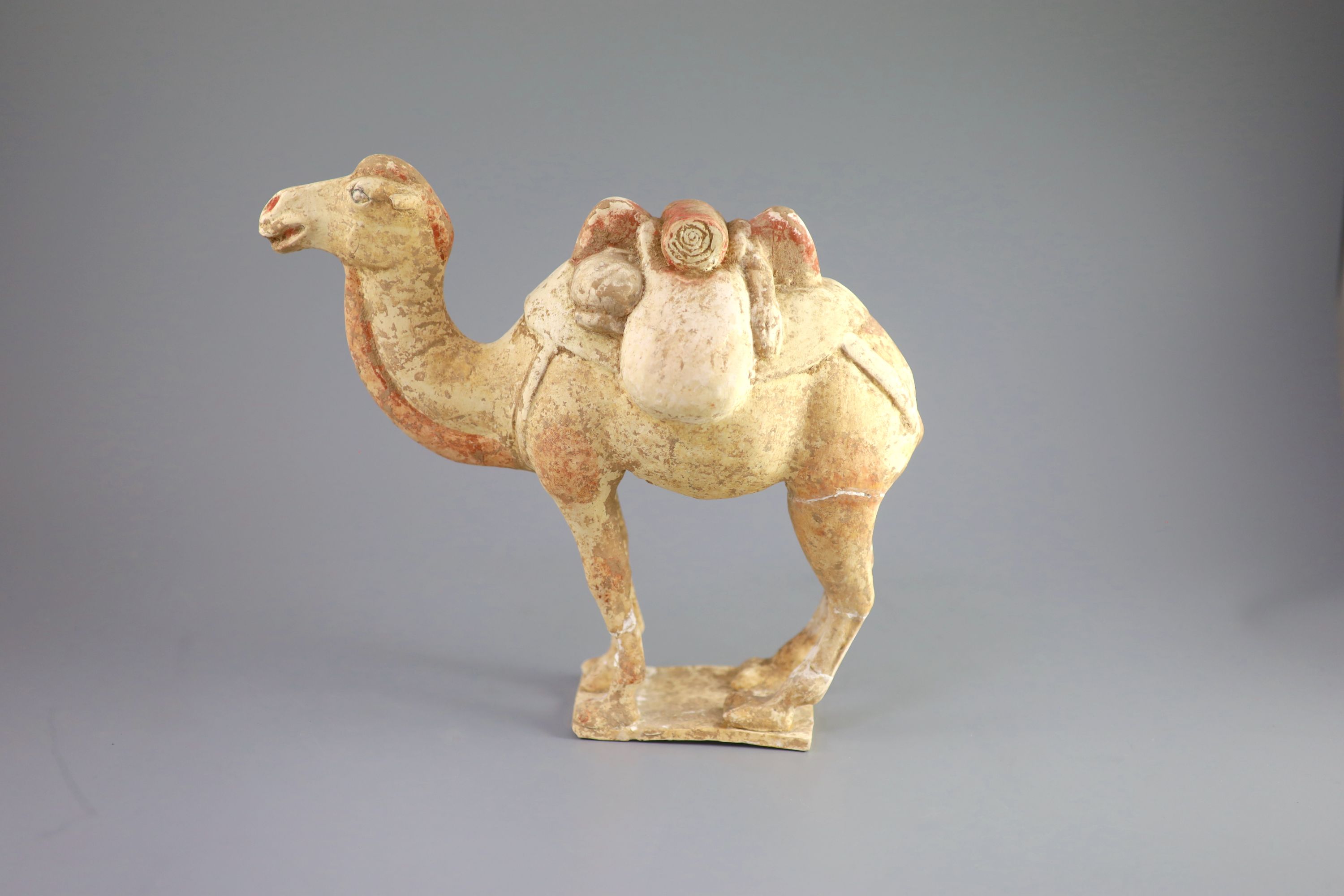 A Chinese pottery model of a Bactrian camel and a similar head of a man, Tang Dynasty, 28 cm and 16.5 cm high including bases